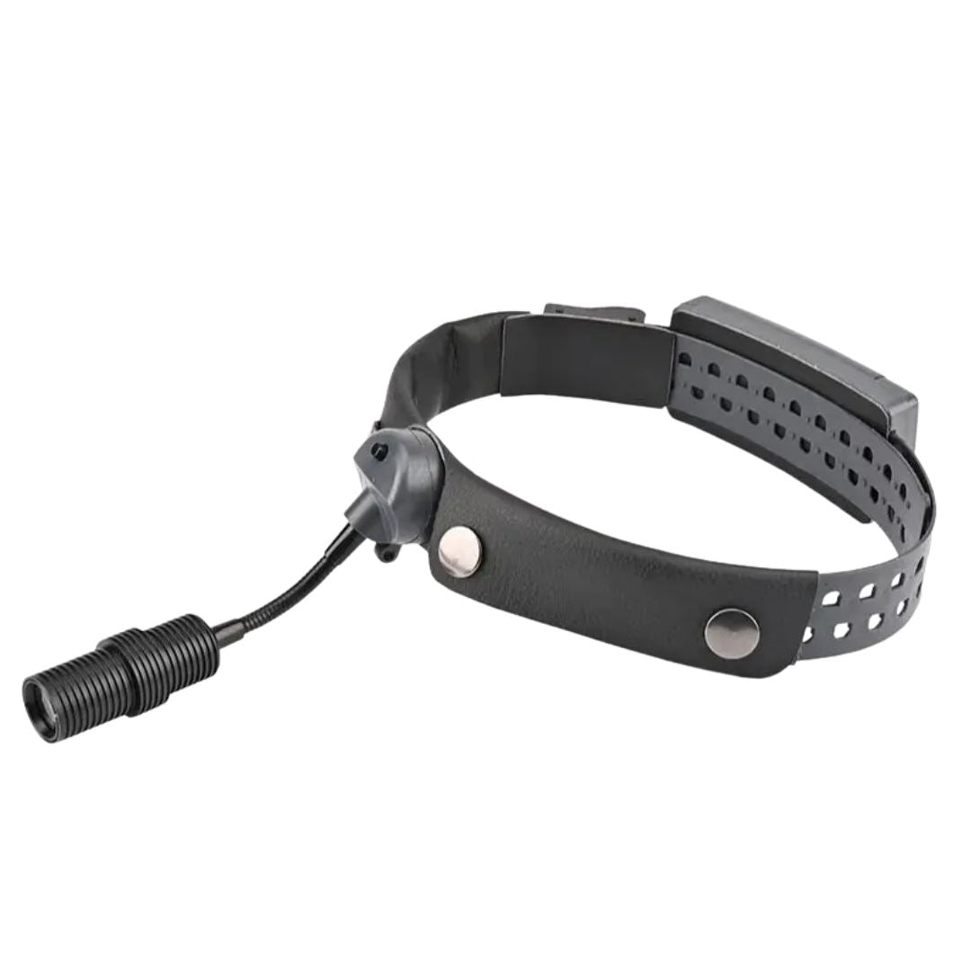 Lámpara H1000 超強力8W・110,000ルーメン 長時間処置用ライト